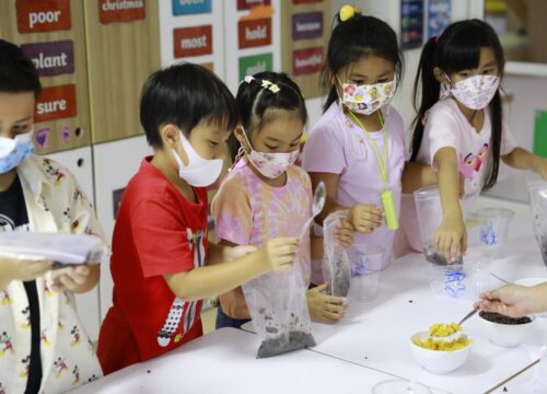 Nonthaburi : Little Kid, Intergrated English Summer Camp